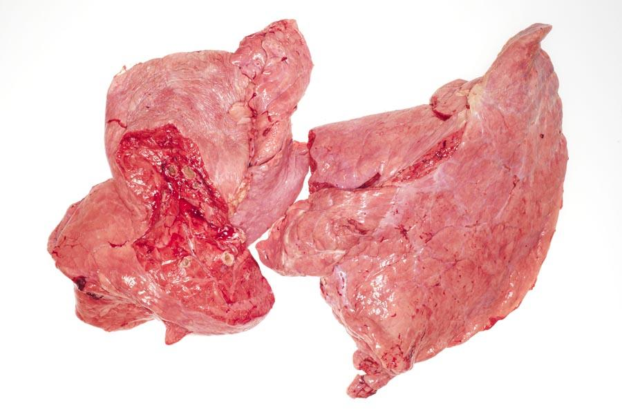 Beef Lungs/Paru